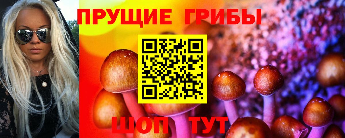 Галлюциногенные грибы GOLDEN TEACHER  Галлюциногенные грибы ЛСД  Вход с VPN  Норильск 